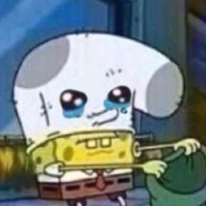 Meet your Posher, Karissa